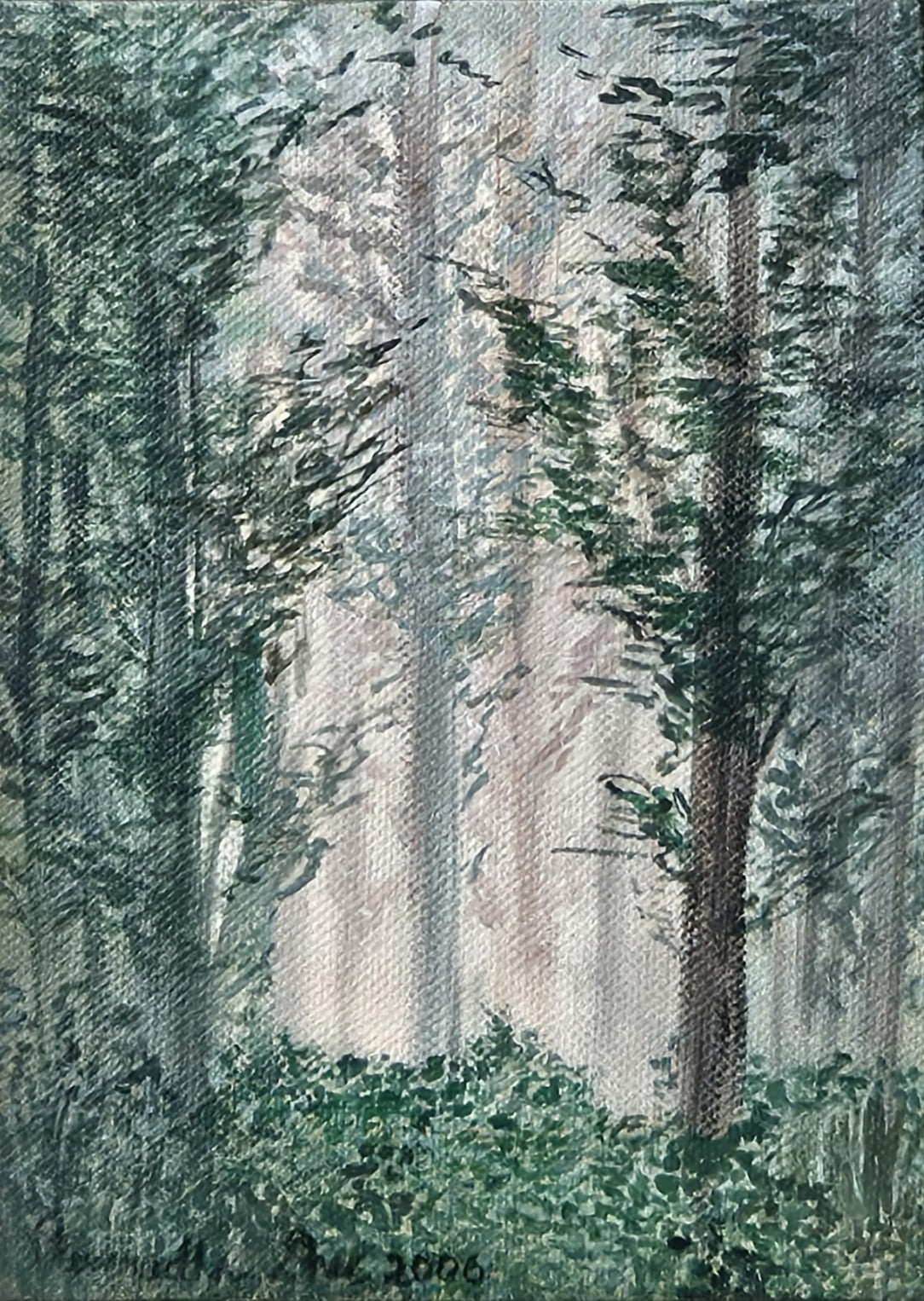Print on demand - landscape - the morning glory 1