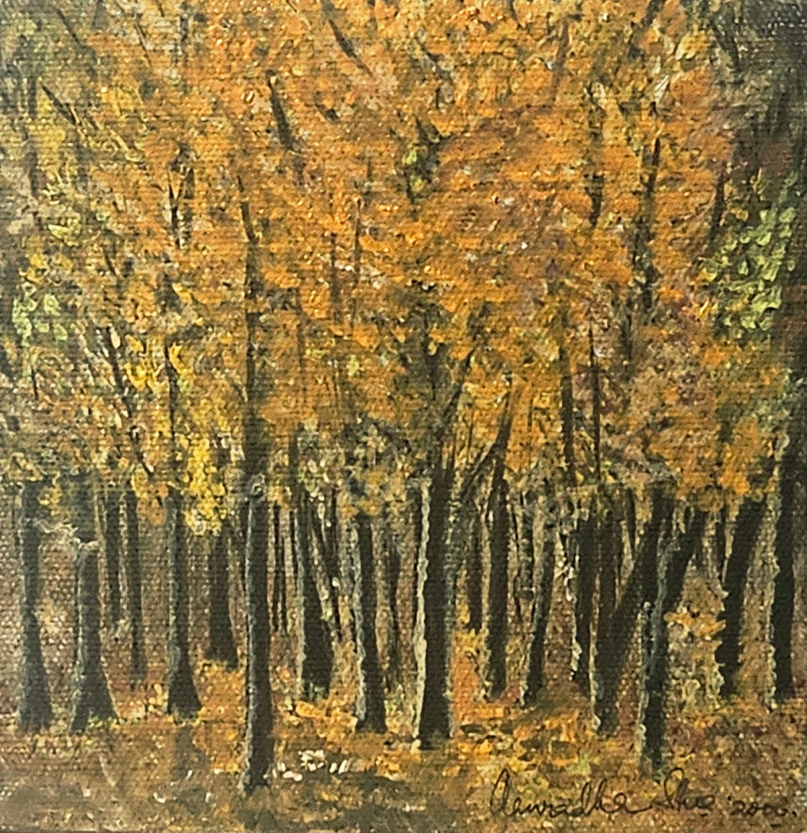 Print on demand - from my travels - Vermont -The fall, embers of autumn