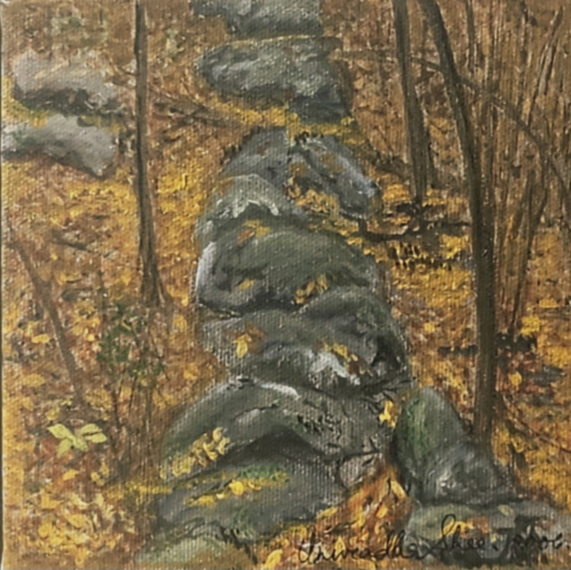 Print on demand - from my travels - Vermont -The fall -  resting rocks