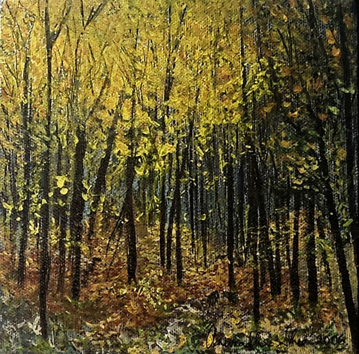 Print on demand - from my travels - Vermont - The fall- early fall