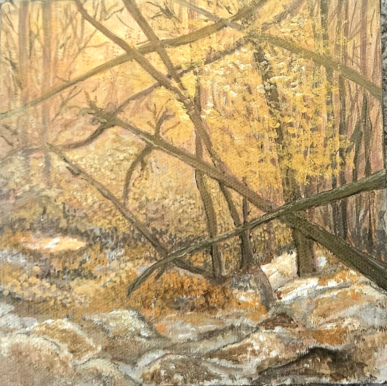 Print on demand - from my travels - Vermont, end of fall -embracing change