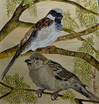 Upstairs and Downstairs | House Sparrow Series | Cushion Cover , Print on Demand