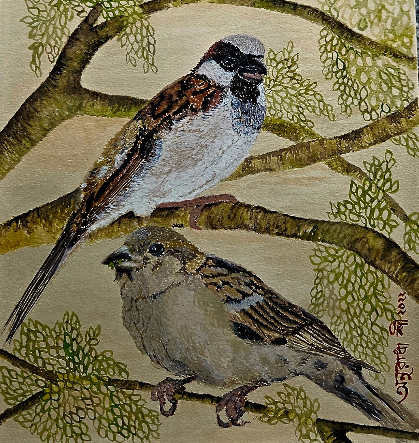 Upstairs and Downstairs | House Sparrow Series | Cushion Cover