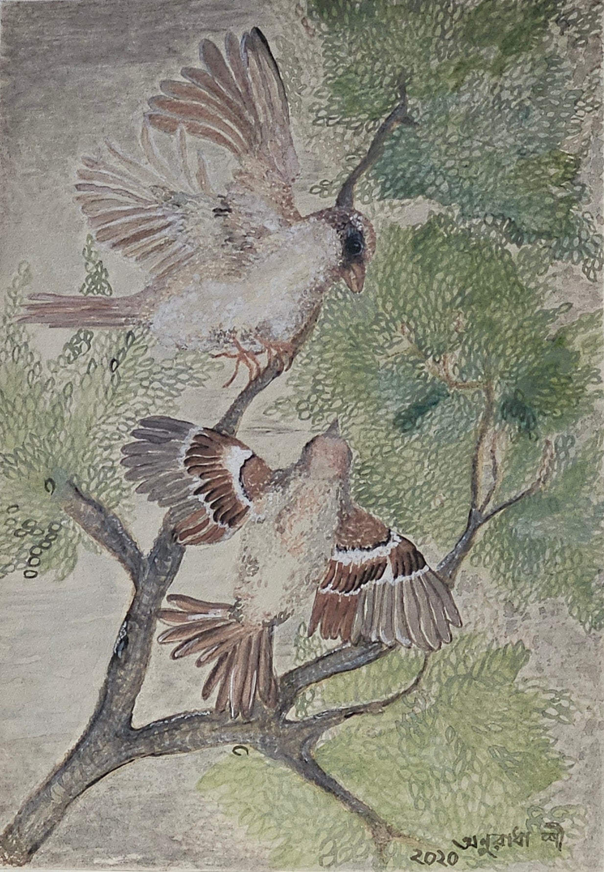 House sparrow series - on kraft paper Mother & Child returning home