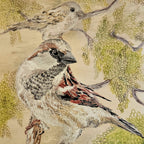 Did You Hear? | House Sparrow Series | Cushion Cover