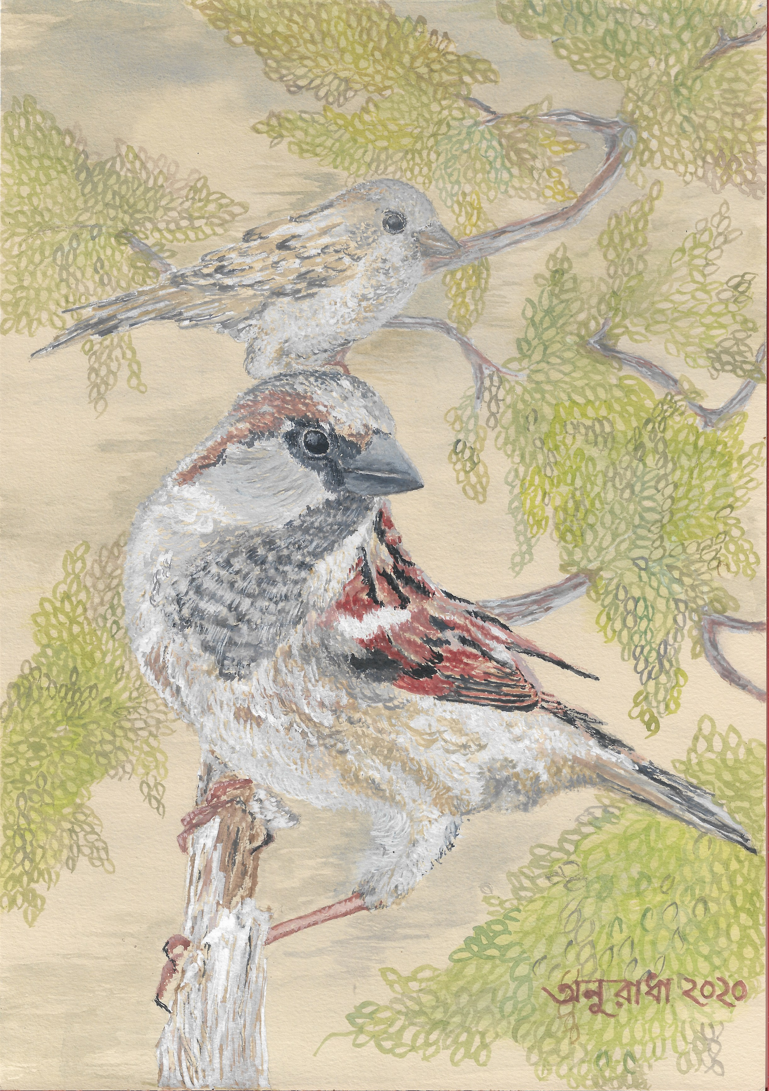 Print on demand - house Sparrow series - kraft paper-Did you hear?