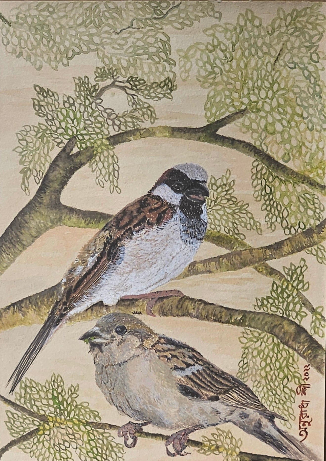 print on demand - House sparrow series - kraft paper - Upstairs downstairs