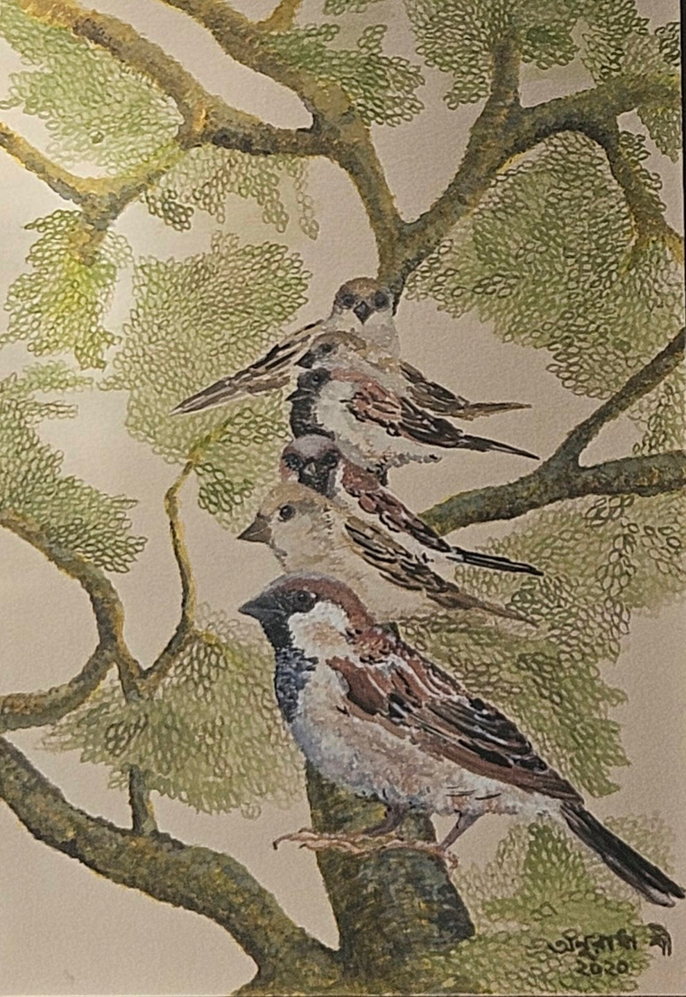 Print on demand- House sparrow series - Catching up time