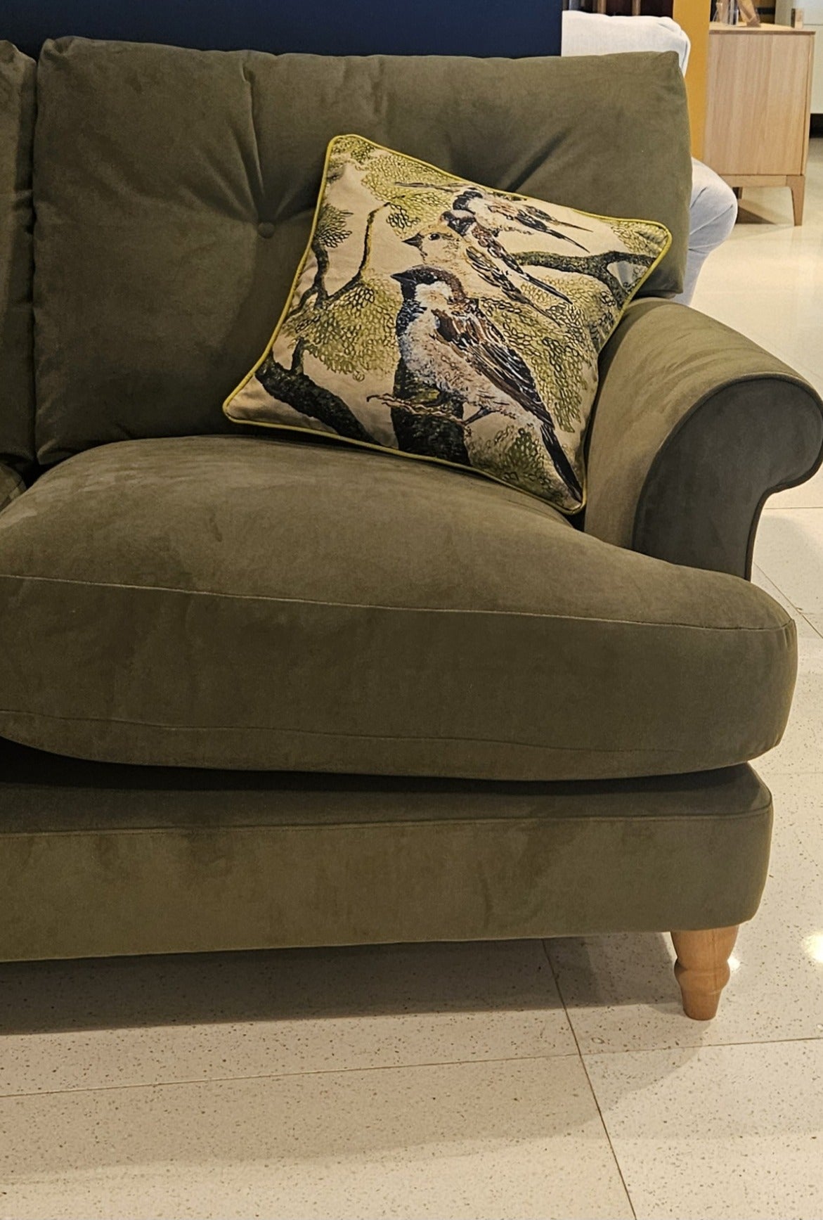 Catching Up Time | House Sparrow Series | Cushion Cover
